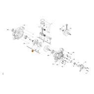Couple DemiArbres TM OK - OM19 (S3), MONDOKART, kart, go kart