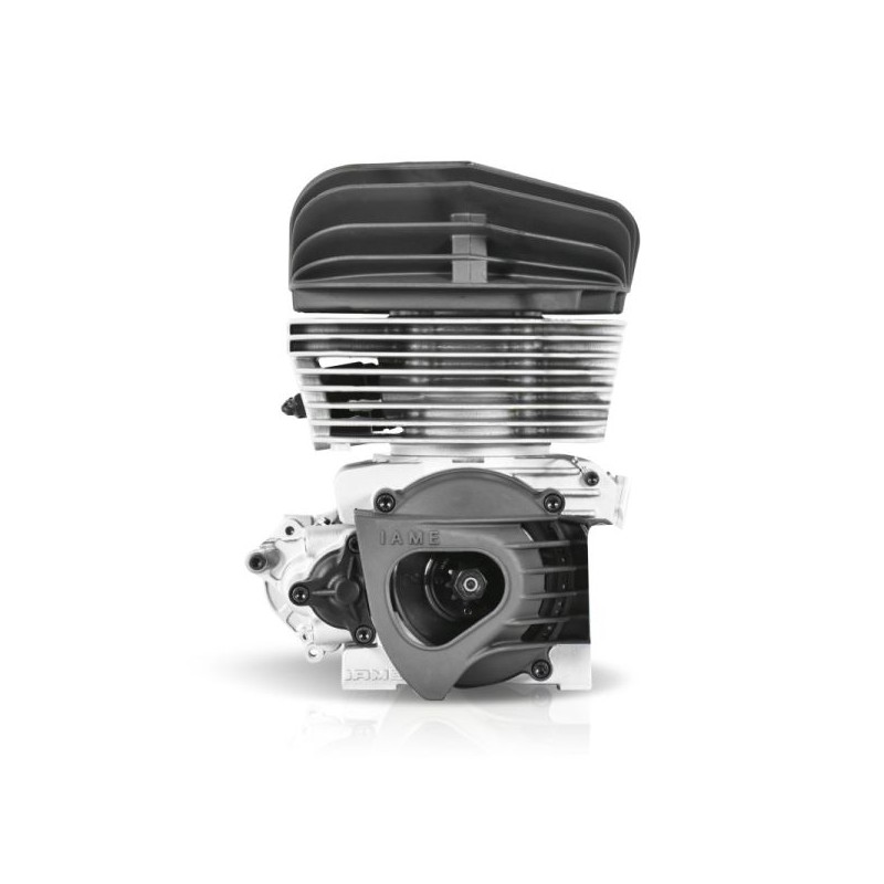 Engine IAME Reedjet KA100, mondokart, kart, kart store