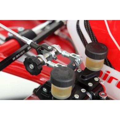 Chassis BirelArt RY 32-S19 - SH - KZ 2026!