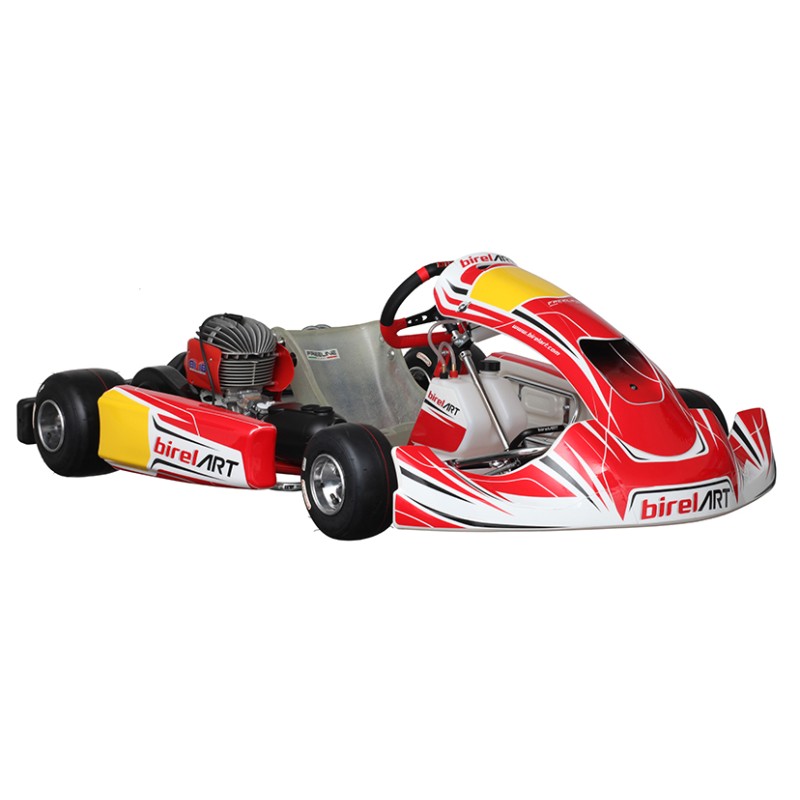 Completa Kart Birel Easykart 125cc NUEVO !!