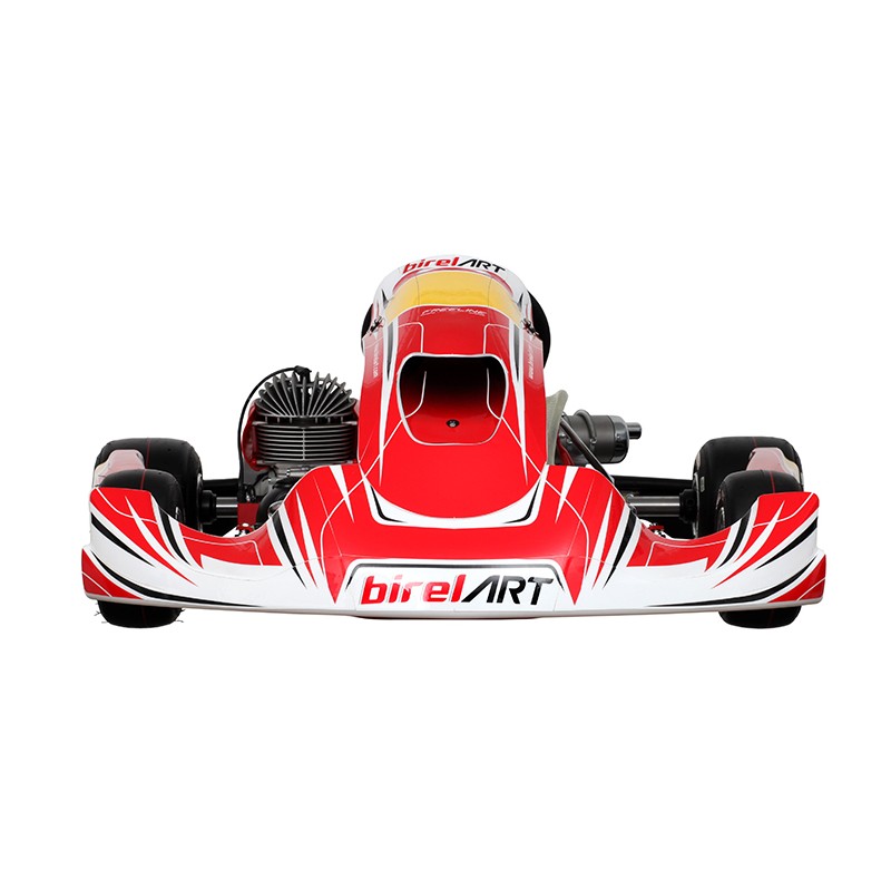 Kart Completo Birel Easykart 125cc NEW!!