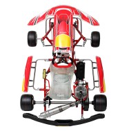 Completa Kart Birel Easykart 125cc NUEVO !!