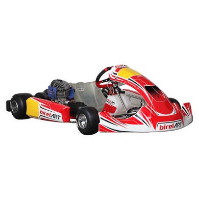 Kart completo Birel Easykart 100cc NEW!!