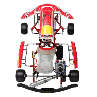Completa Kart Birel Easykart 100cc NUEVO !!