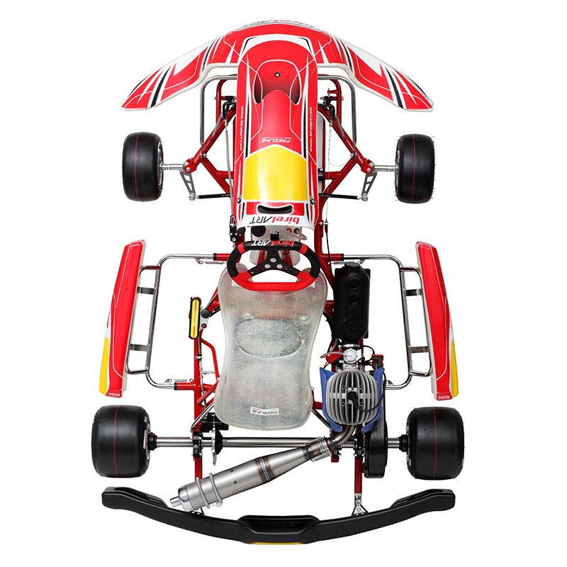 Füllen Kart Birel Easykart 100cc NEU !!