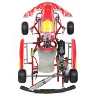 Complete Kart Birel Easykart 60cc NEW !!