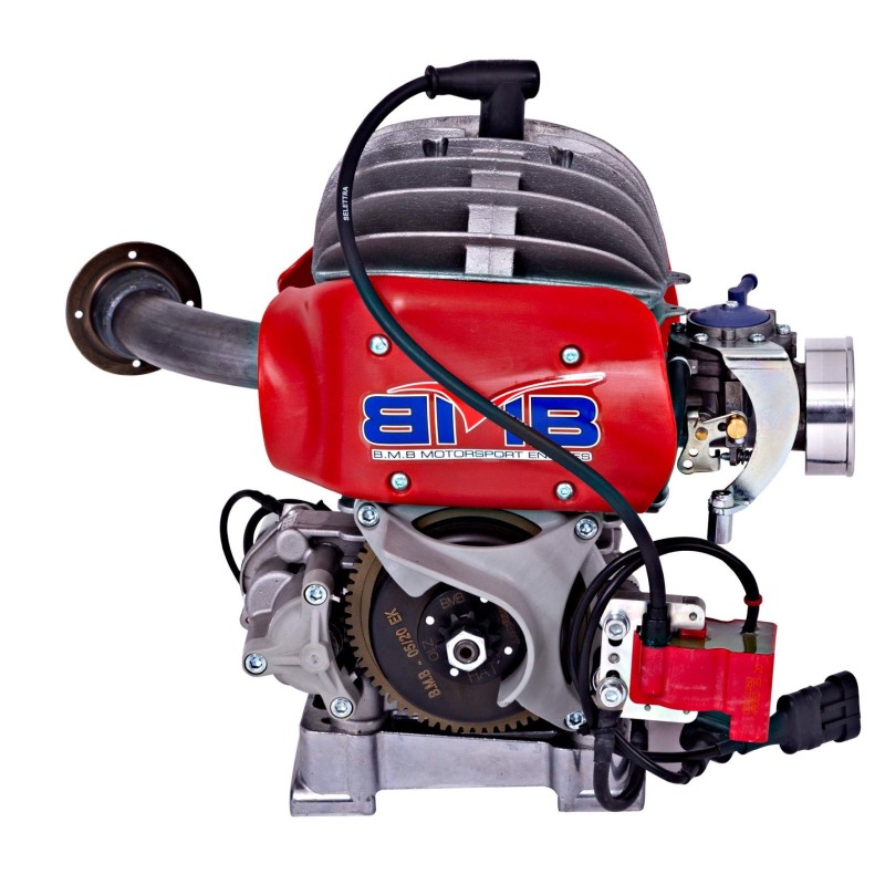 Engine Easykart 60cc EKL BirelArt