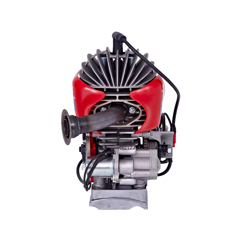 Motore Easykart EKL 60cc BirelArt