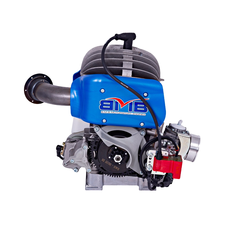 Motore Easykart EKJ 100cc BirelArt