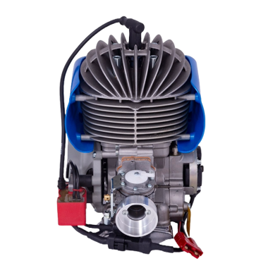 Motore Easykart EKJ 100cc BirelArt