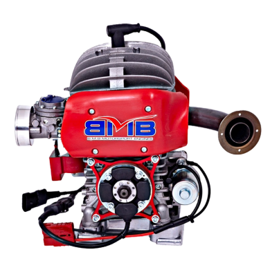 Motor 60cc EASYKART EKL BirelArt