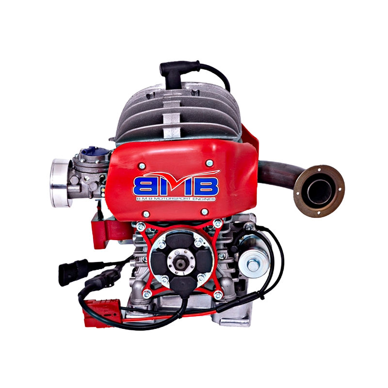 Motor Easykart 60cc EKL BirelArt