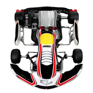 Chassis Charles Leclerc Kart CL BirelArt CL 30-S19 - DD - OK