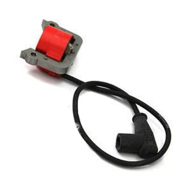 Bobina Encendido WTP 60