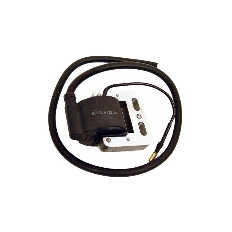 Zündspule Selettra IAME Easykart