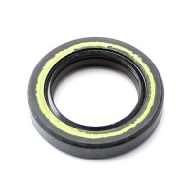 FPJ Joint SPI 25x38x7 double lèvre Teflon