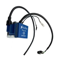 Ignition Coil Selettra MINI 60cc - U10 Category - ACI Sport