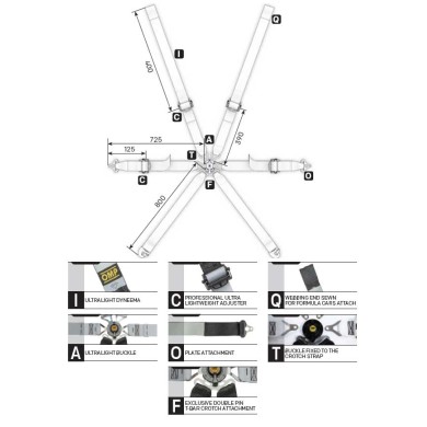 Cinturones Seguridad OMP ONE-D