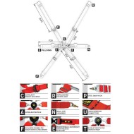 Seat Belts OMP ONE 2 VERSA - ENDURANCE