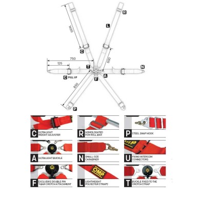 Ceinture de Sécurité OMP ONE 2"