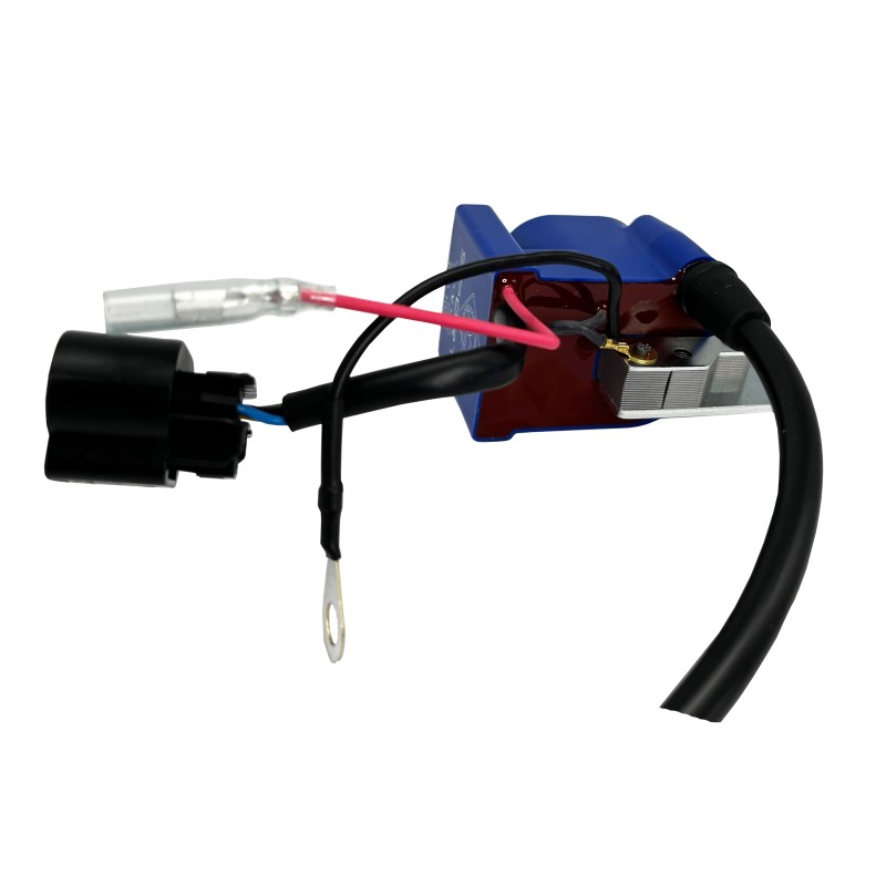 Bobina PVL - Aci Sport - MINI 60cc - Categoria U10 - BLU