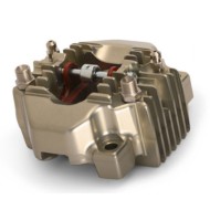 Kit Revisione Pinza Freno posteriore per BSD / SA2 / BWD OTK completo