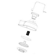 Compression exhaust valve spring Vortex RokGP - SuperRok