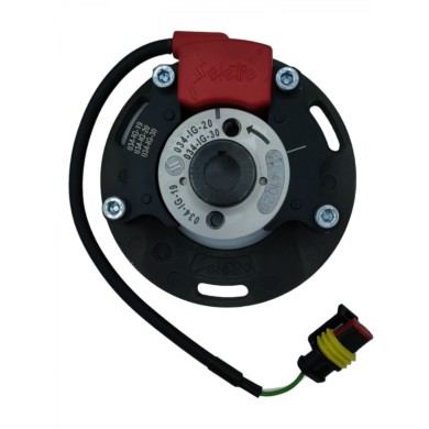 Komplette Zündung Selettra - Vortex Rok SVR, MONDOKART, kart