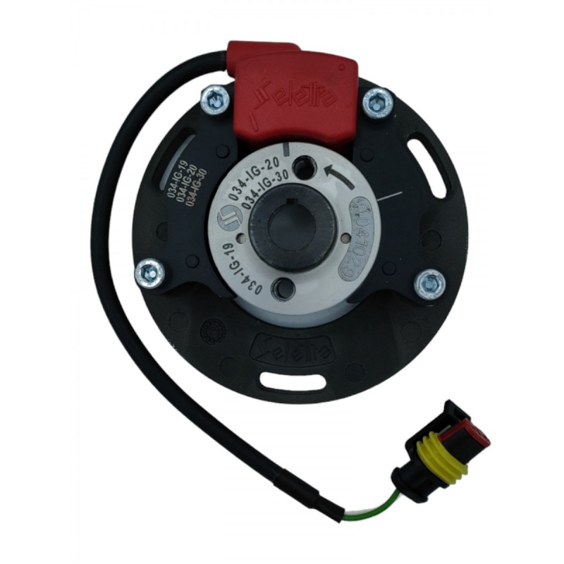 Komplette Zündung Selettra - Vortex Rok SVR, MONDOKART, kart