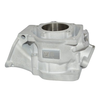 Cilindro Completo Rotax DD2 – EVO II – NEW!