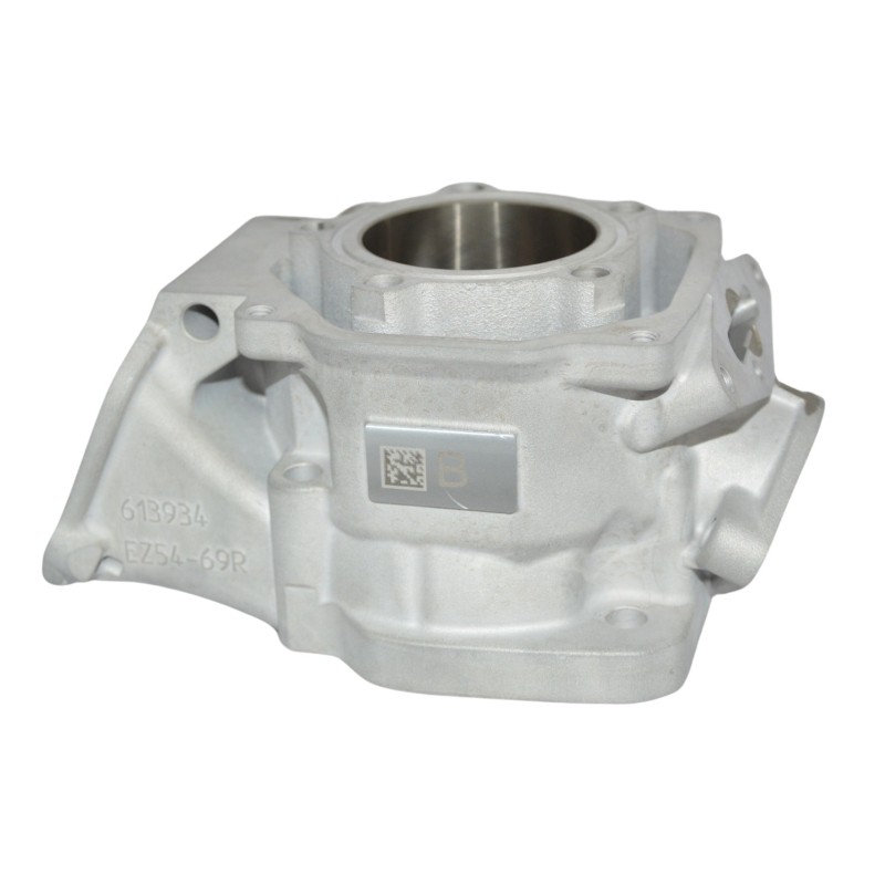 Complete Cylinder Rotax DD2 – EVO II – NEW!