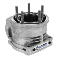 Cilindro completo IAME X30 SuperShifter 175cc
