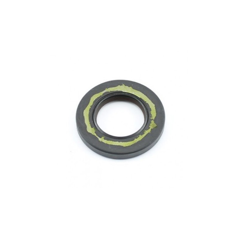 Paraolio FPJ 20x35x4,5 doppio labbro Teflon