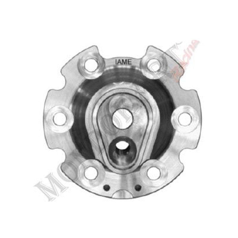 Insert Dome Head Iame OK - REEDSTER IV