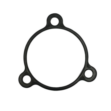 Seat gaskets Mass countershaft cover Iame OK - OKJ