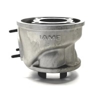 Complete Cylinder IAME Leopard