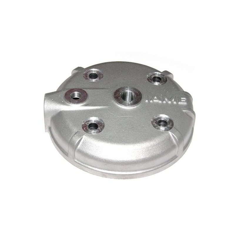 ZylinderKopf IAME Leopard