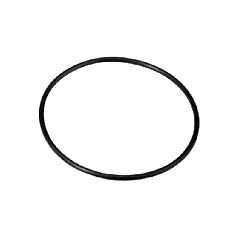 Joint Torique Culasse extérieur 487 GM IAME Leopard