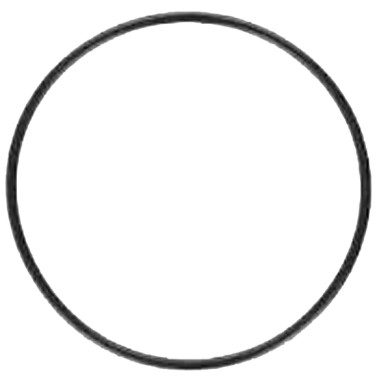 O-ring GRANDE Testa TM