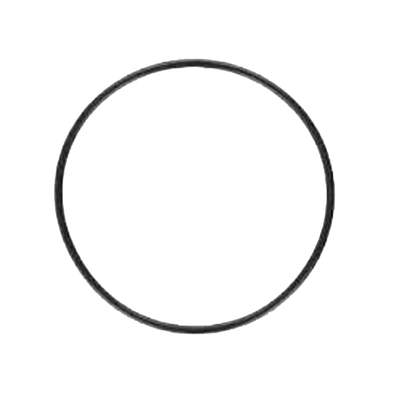 O-ring GRANDE Testa TM