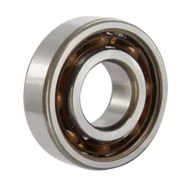 Bearing 6202 C4