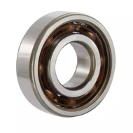 Bearing 6202 C4