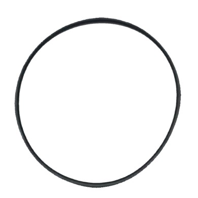 O-ring grande testa TM