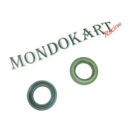 Paraolio 25x40x7 doppio labbro Teflon