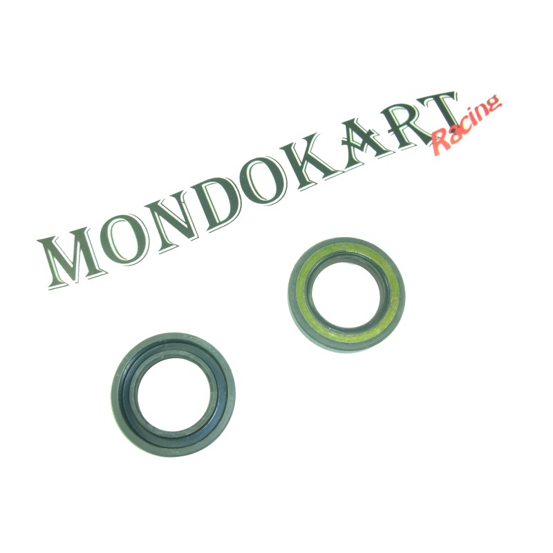 Joint SPI FPJ 25X40X7 GS ARS C2