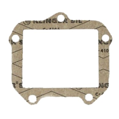 Gasket reed valve for Rotax