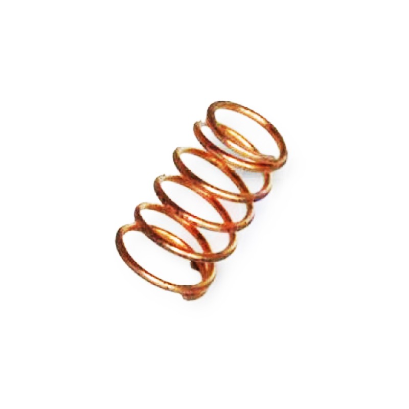 Ressort de compression Rotax