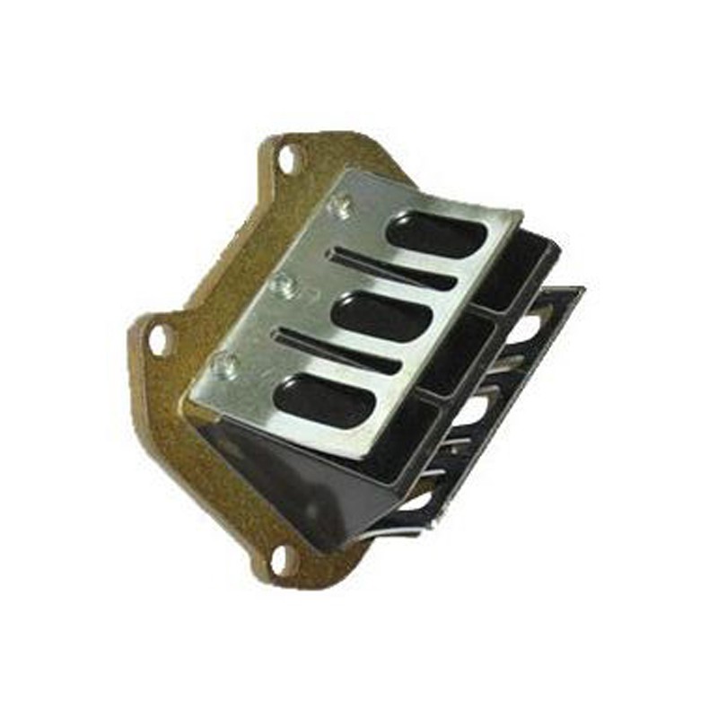 Pacco Lamellare Completo ORIGINALE - Rotax