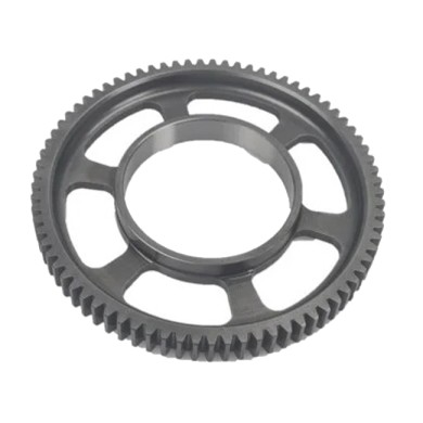 Ingranaggio Minimo 77 T Rotax DD2