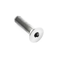 Screw M5x14 TPSCEI